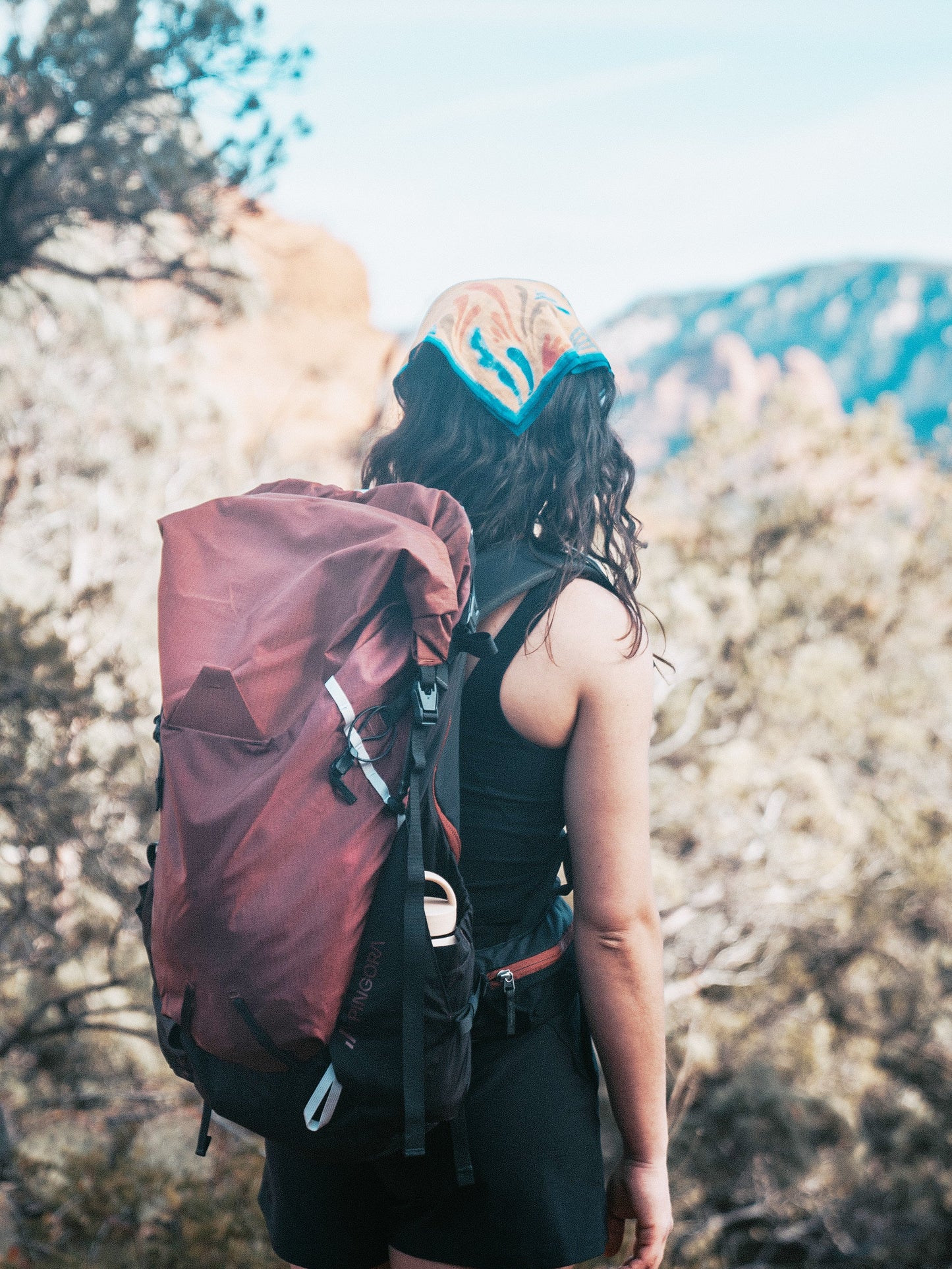 Pingora Outro 40 Backpacking Pack