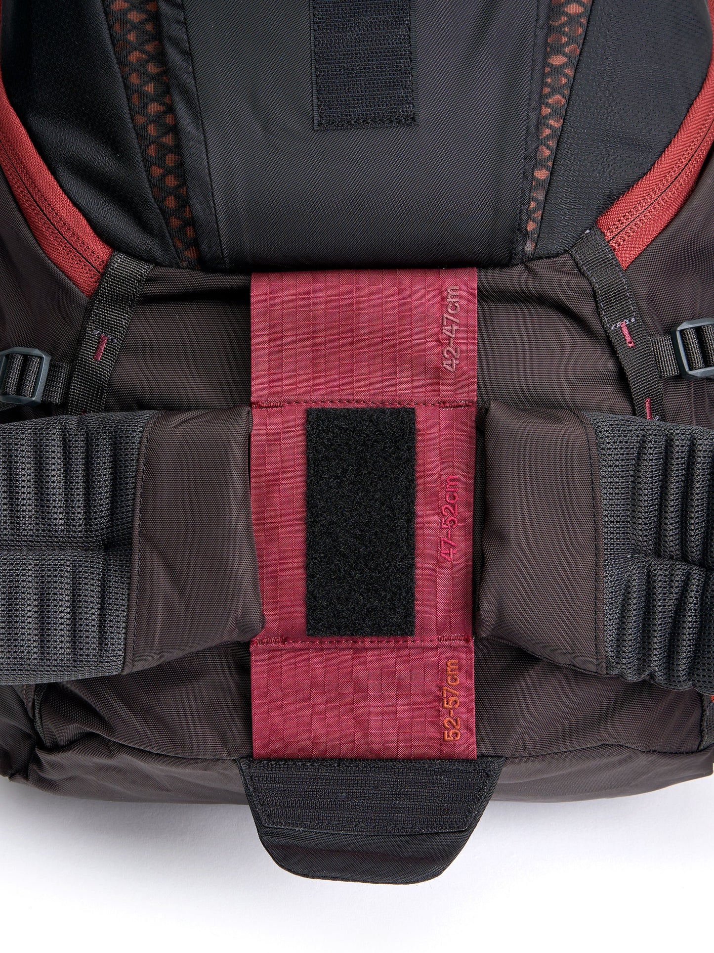 Pingora Outro Backpacking Hip Belt