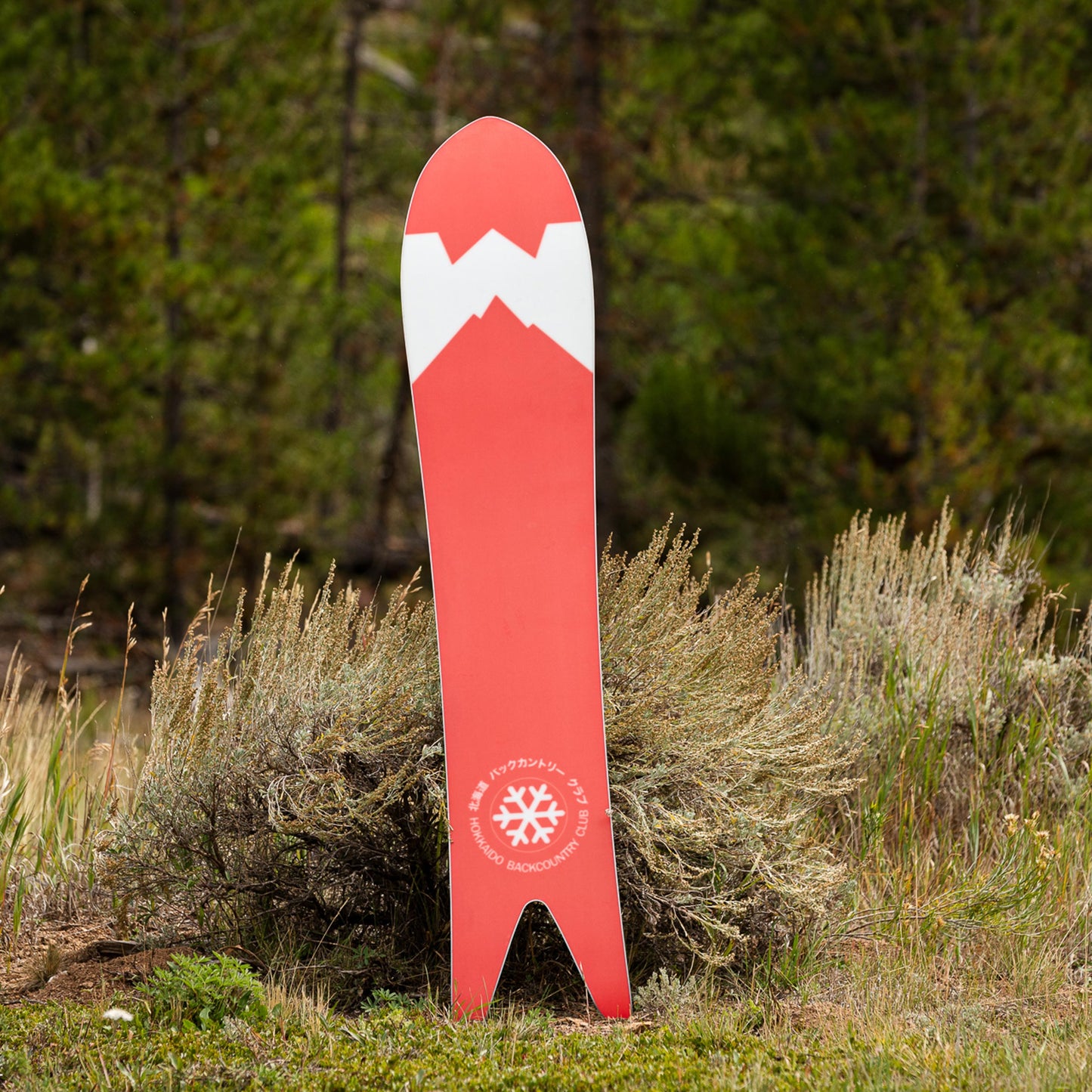 Japow Snowboard x Hokkaido Backcountry Club