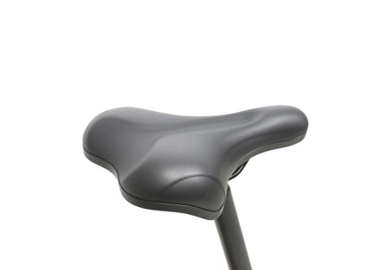EPIK SWAN 2.0 Electric Folding Step Through E-Bike