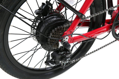 EPIK SWAN 2.0 Electric Folding Step Through E-Bike