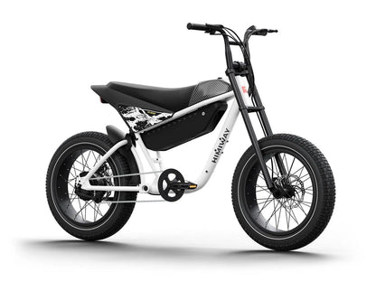 C5 / Electric Motorbike