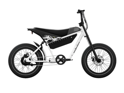 C5 / Electric Motorbike