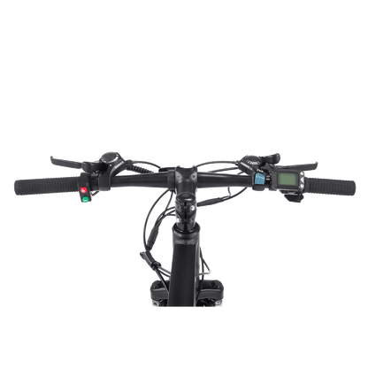Viribus Panther Electric Mountain Bike