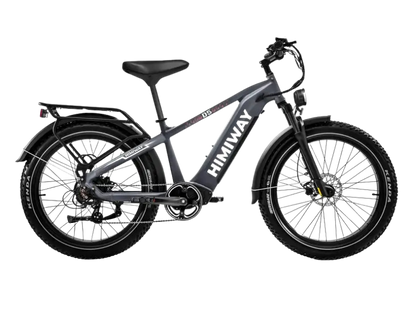 D5(Zebra) / All-terrain Electric Fat Bike