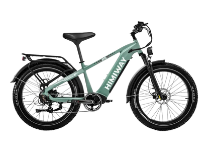 D5(Zebra) / All-terrain Electric Fat Bike