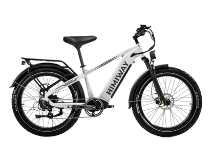 D5(Zebra) / All-terrain Electric Fat Bike