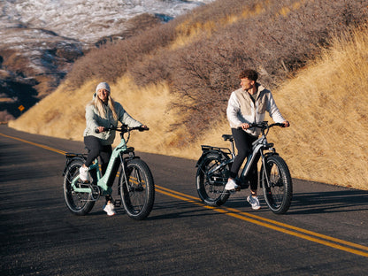 D5(Zebra) / All-terrain Electric Fat Bike