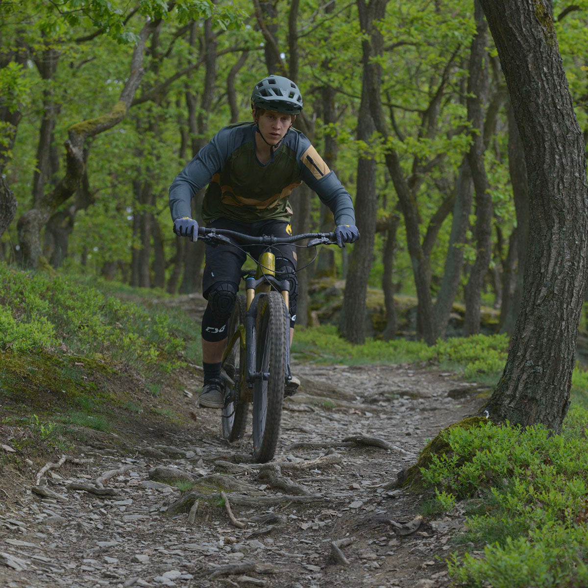 TSG - Knee-Sleeve Joint